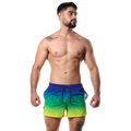 Short De Playa Estampado Coleccion New - Fenix Fit Mexico  