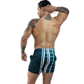 Short Corto Licra Estampados NUEVOS - Fenix Fit Mexico  