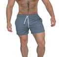 Short Lineas temporada - Fenix Fit Mexico  