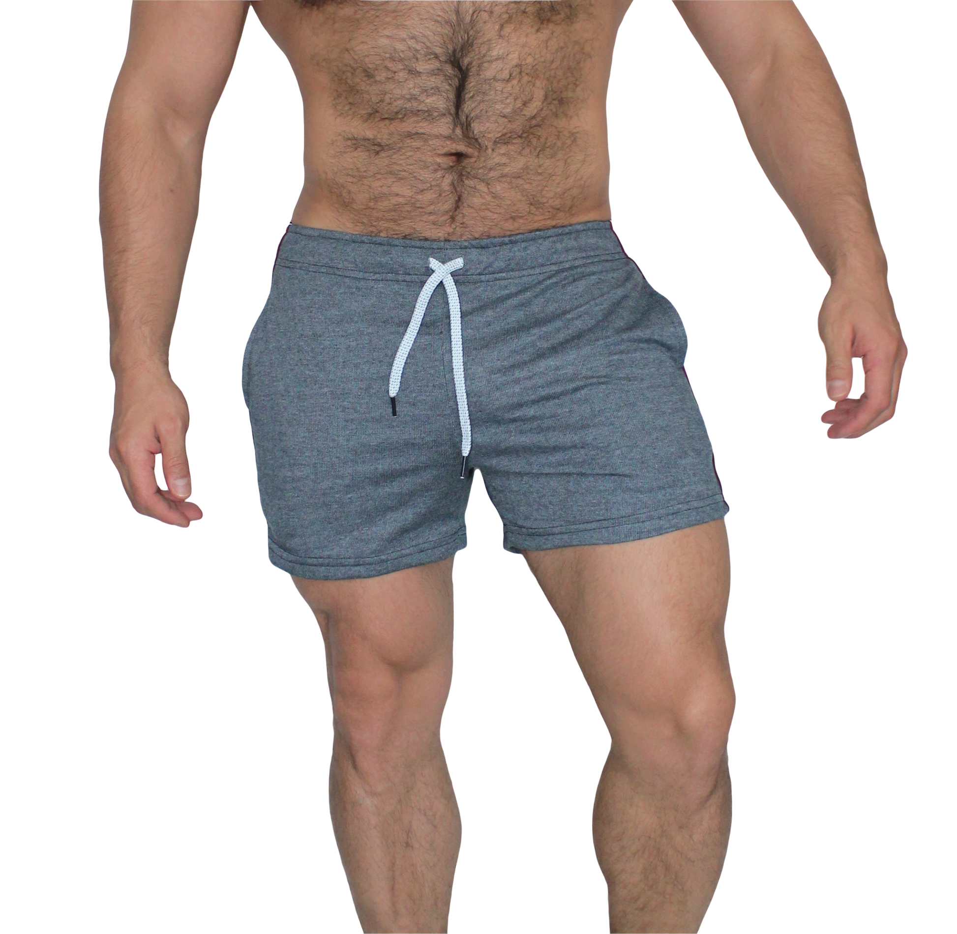 Short Lineas temporada - Fenix Fit Mexico  