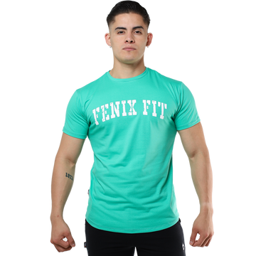 Playera Clasica Algodon - Fenix Fit Mexico  