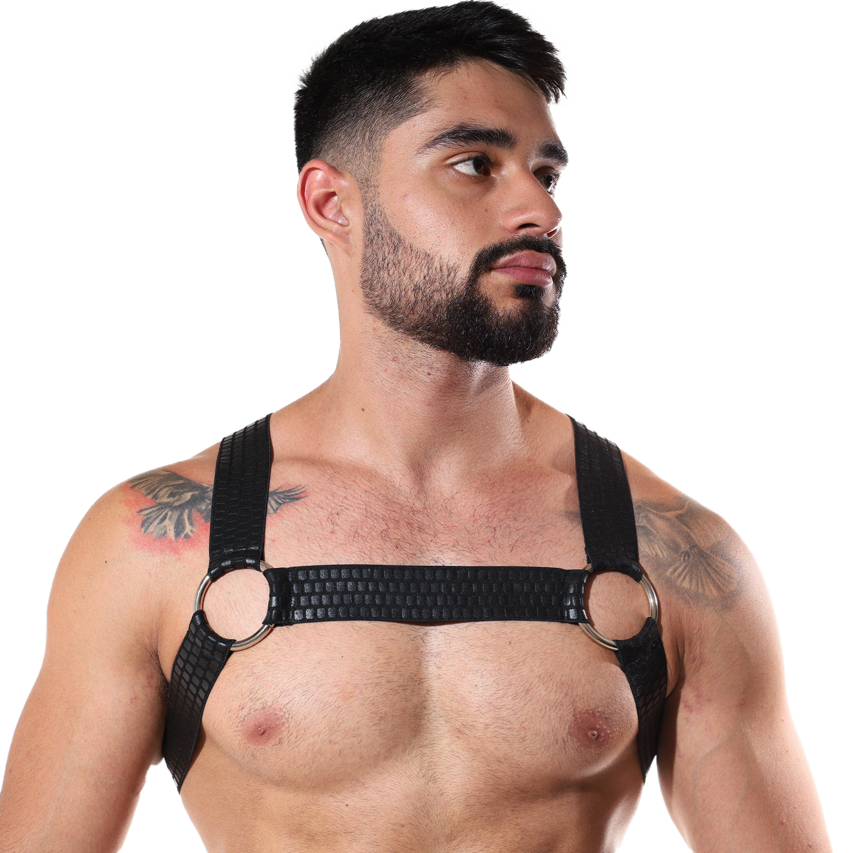 Arnes Elastico Para Hombre - Fenix Fit Mexico  