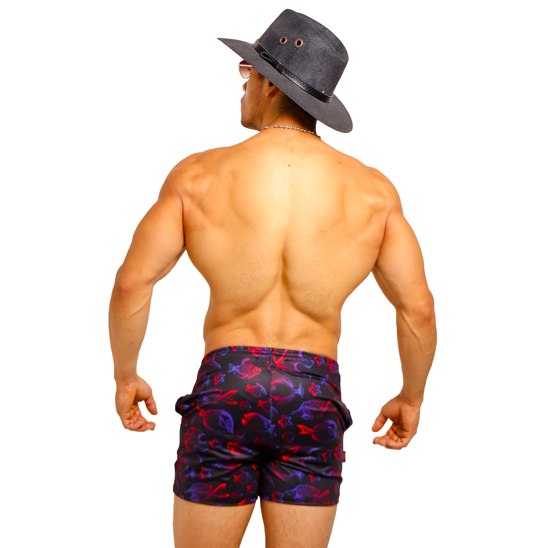Short Corto Licra Estampado Nuevos Modelos - Fenix Fit Mexico  