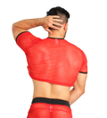 Crop Top Tela Red - Fenix Fit Mexico  