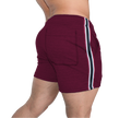 Short Lineas temporada - Fenix Fit Mexico  