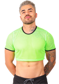 Crop Top Tela Red Colores - Fenix Fit Mexico  