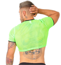 Crop Top Tela Red Colores - Fenix Fit Mexico  