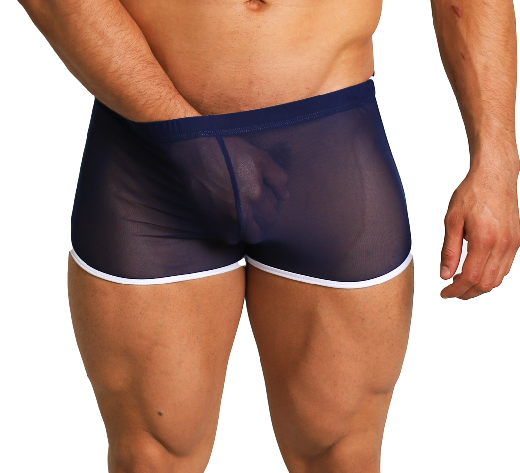 Boxer Transparencia