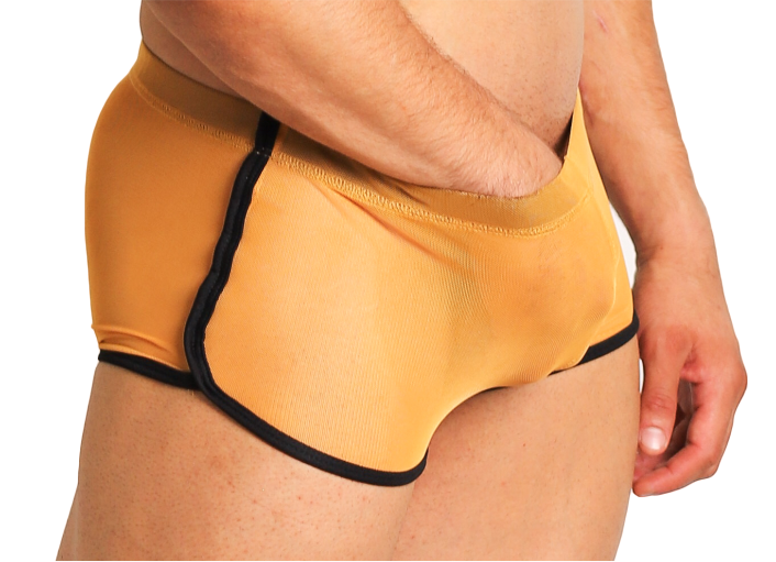 Boxer Transparencia - Fenix Fit Mexico  