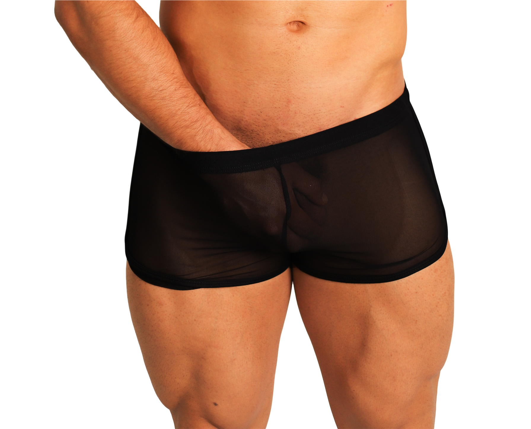 Boxer Transparencia - Fenix Fit Mexico  